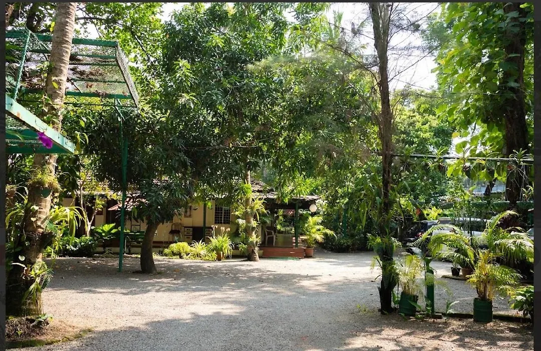 Palm Grove Service Villa-1