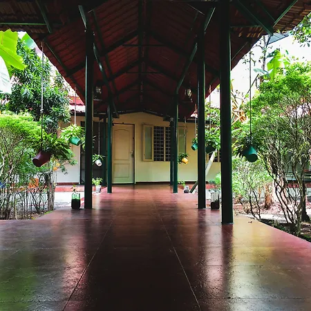 Palm Grove Service Villa-2